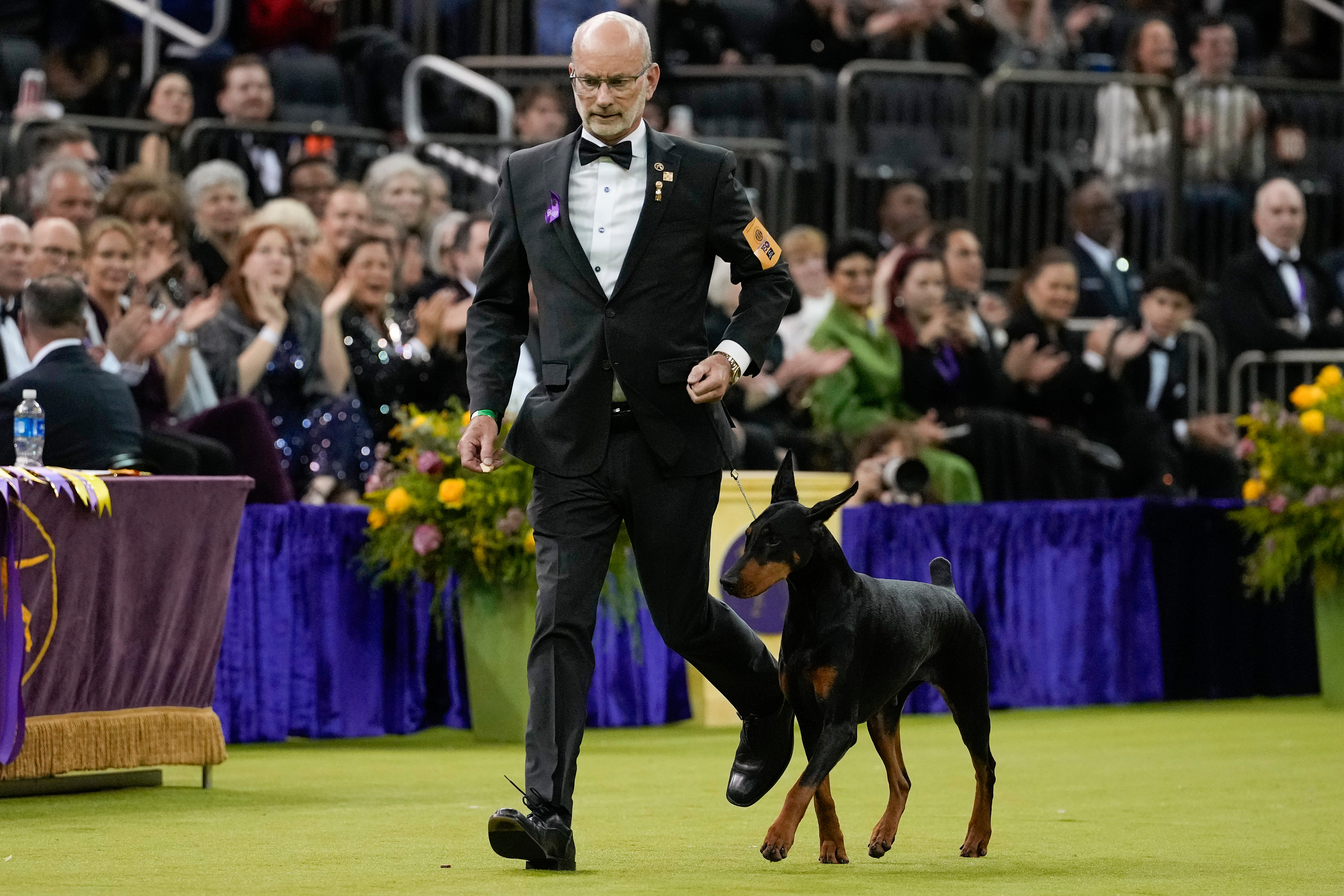 7 dogs competing for Westminster's show big prize Tuesday night